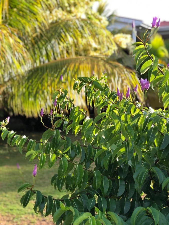 Sunshine Hotel Little Corn Island Exterior foto