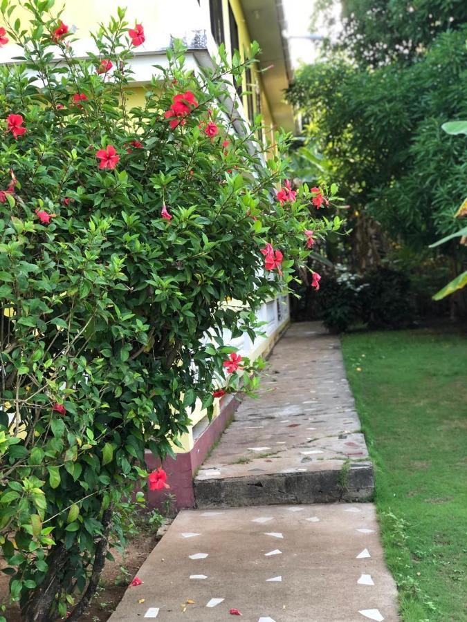 Sunshine Hotel Little Corn Island Exterior foto